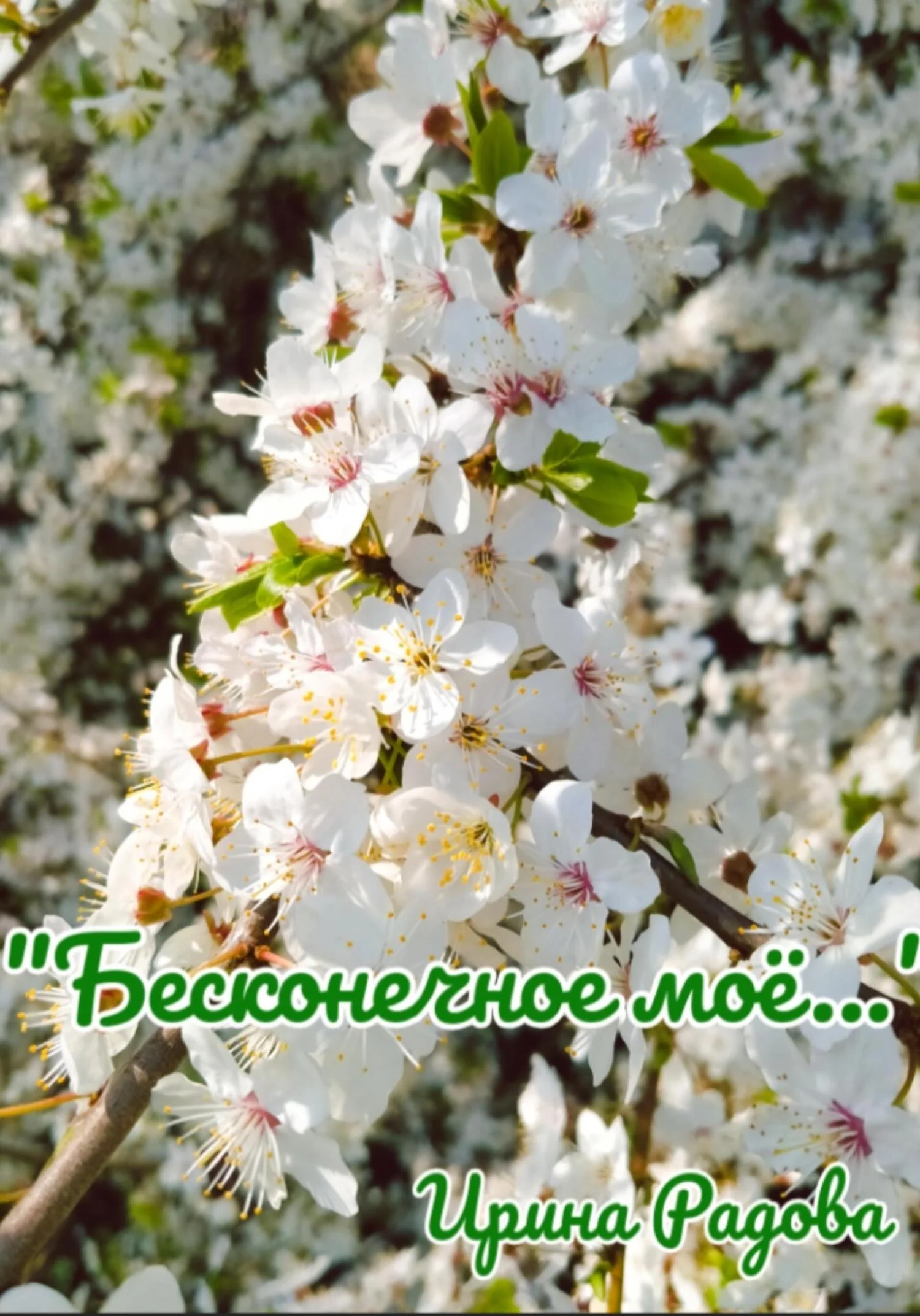 Обложка Бесконечное моё…