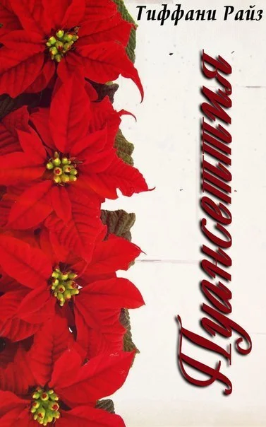 Обложка Пуансеттия