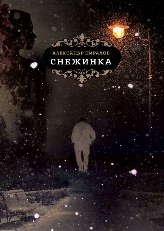 Обложка Снежинка