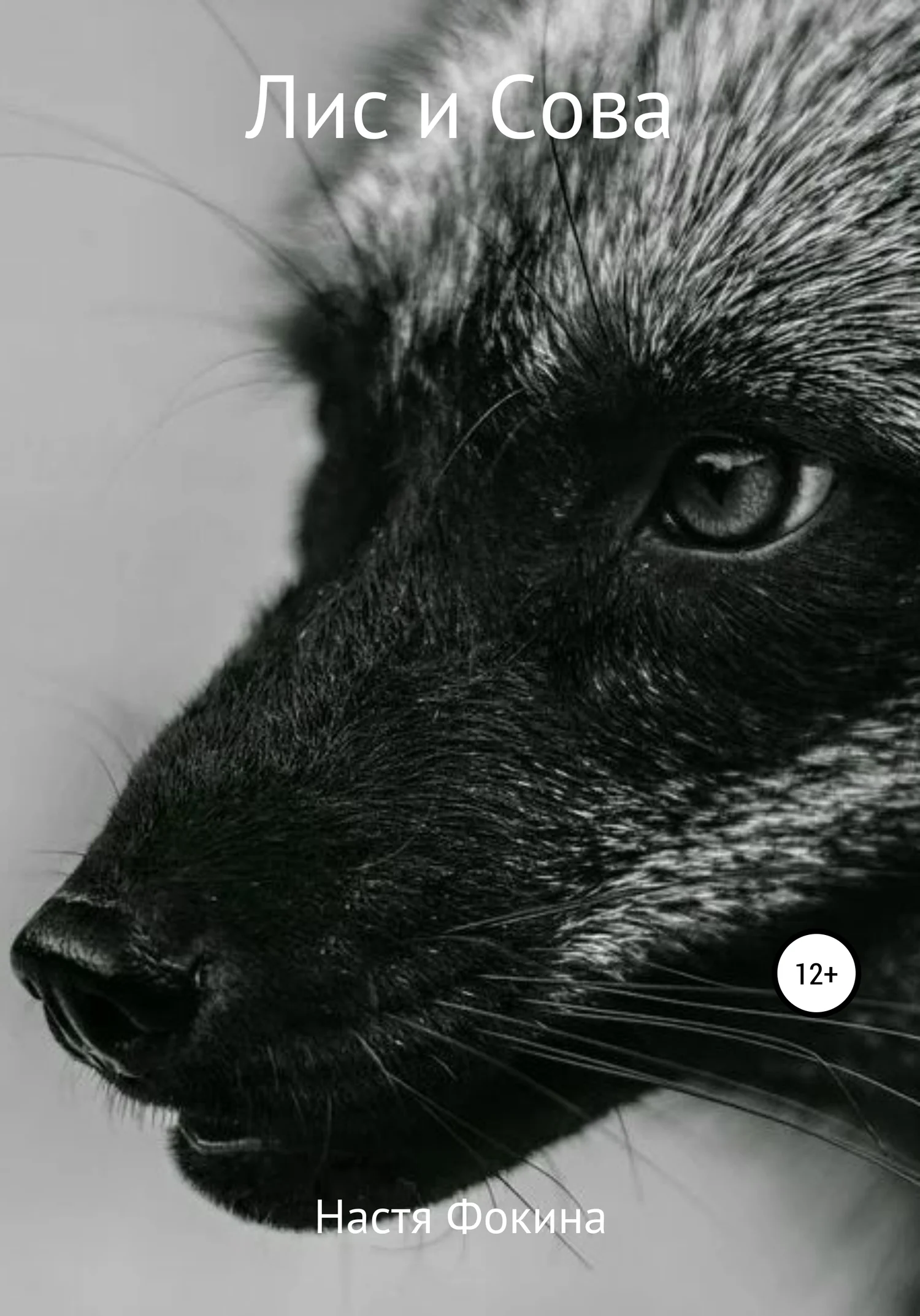 Обложка Лис и Сова