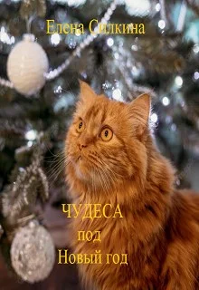Обложка Чудеса под Новый год