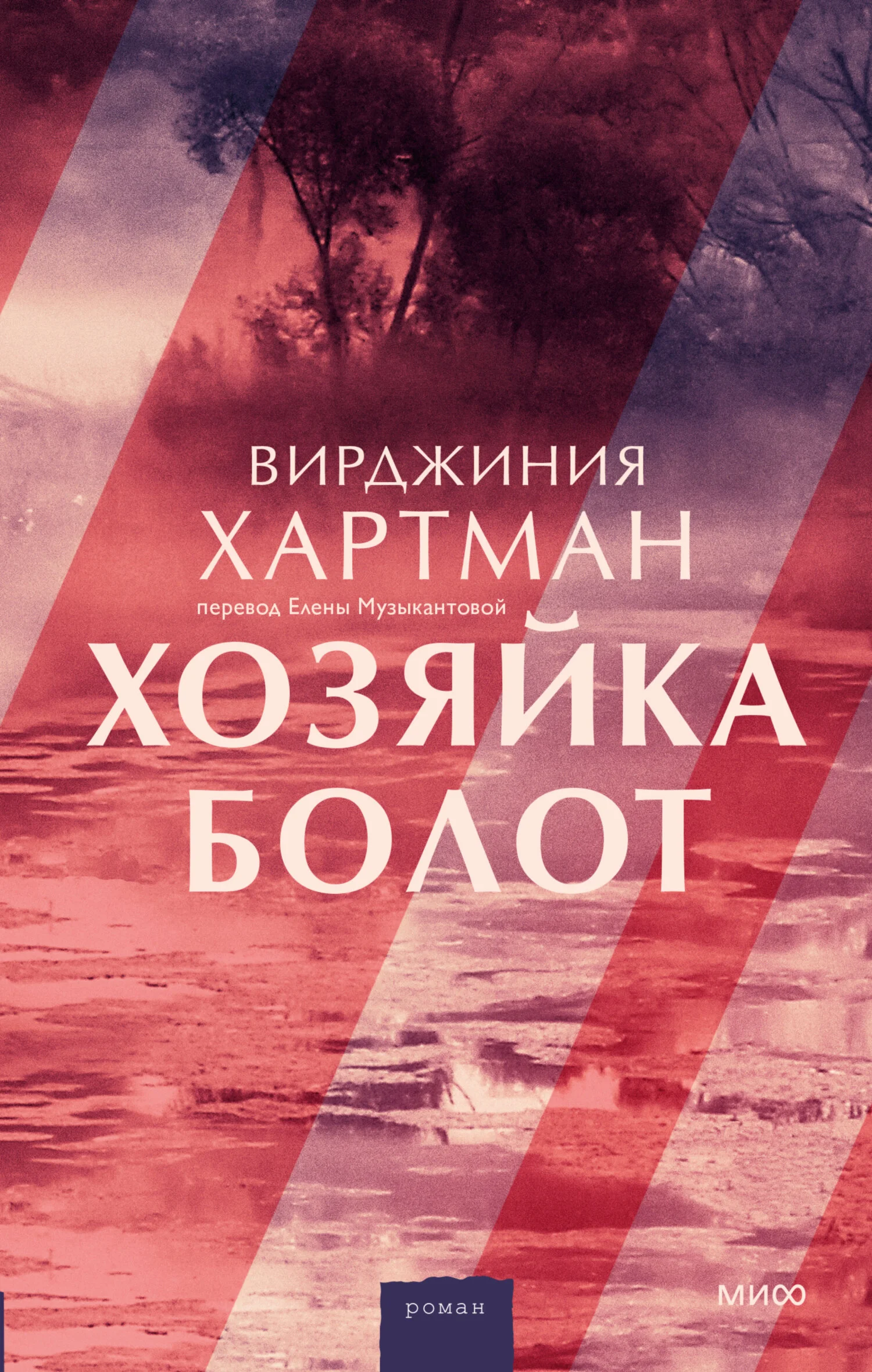 Обложка Хозяйка болот