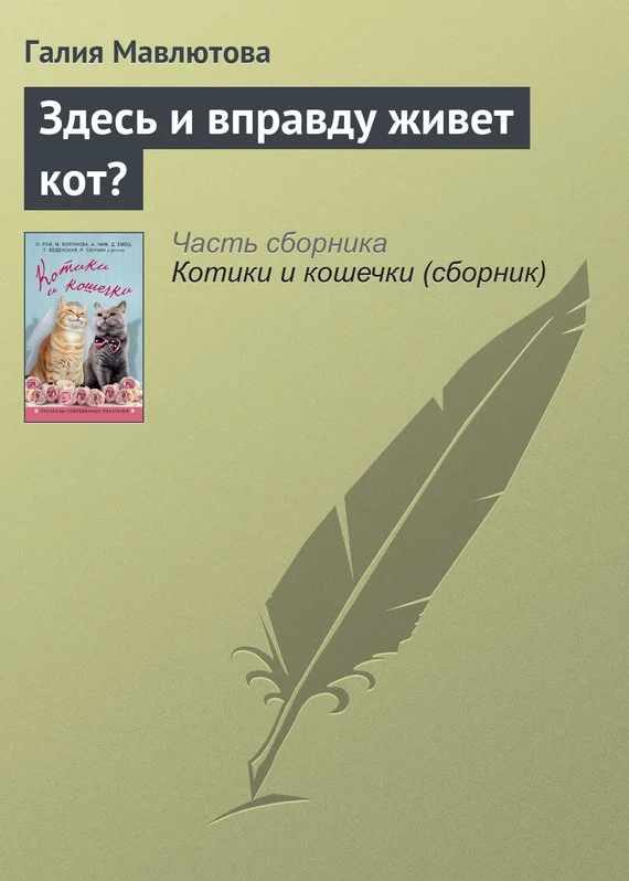 Обложка Здесь и вправду живет кот?