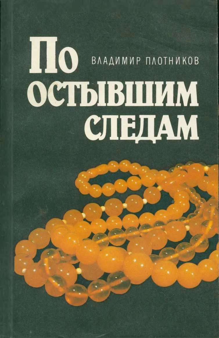 Обложка По остывшим следам [Записки следователя Плетнева]