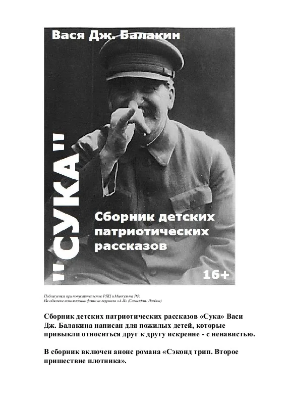 Обложка Сборник детских патриотических рассказов СУКА