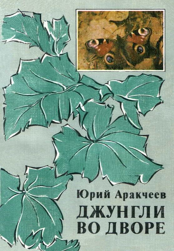 Обложка Джунгли во дворе