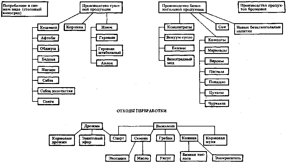 Обложка Виноградарство