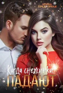 Обложка Когда снежинки падают