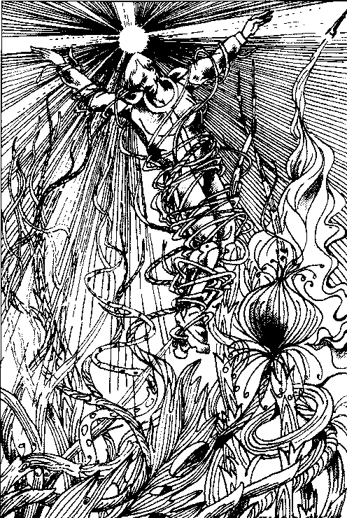 Обложка Цефеида