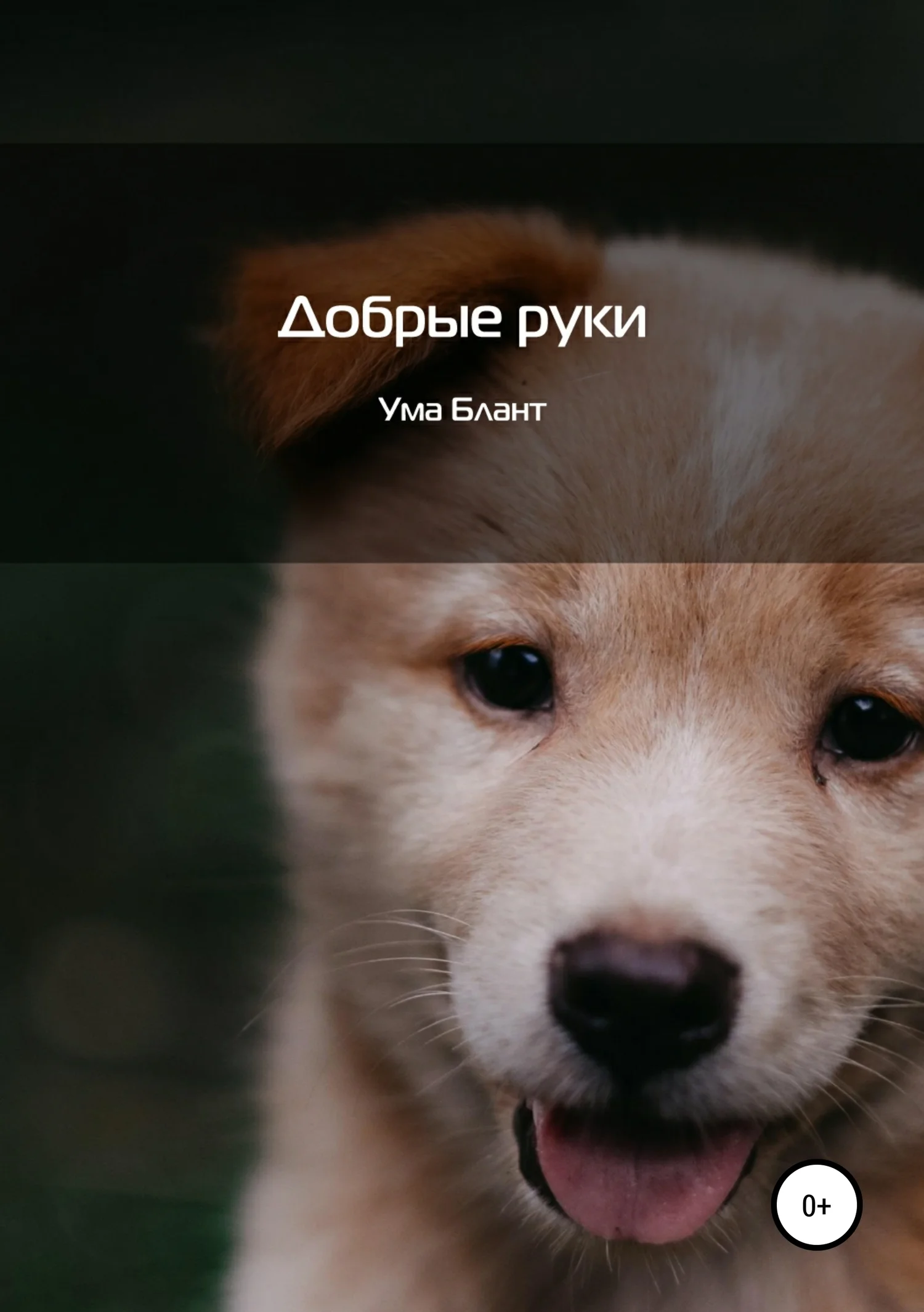 Обложка Добрые руки