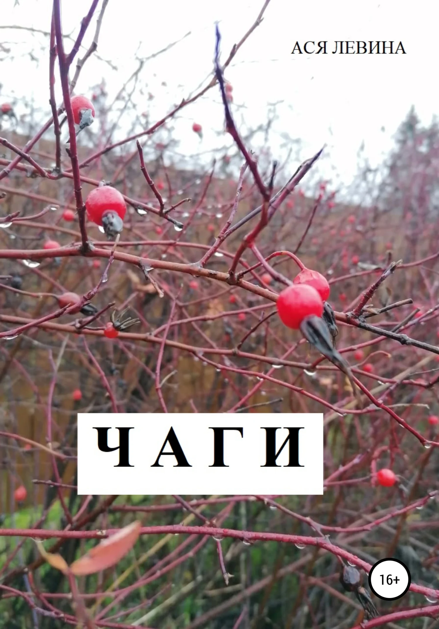 Обложка Чаги