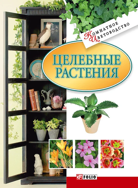 Обложка Целебные растения