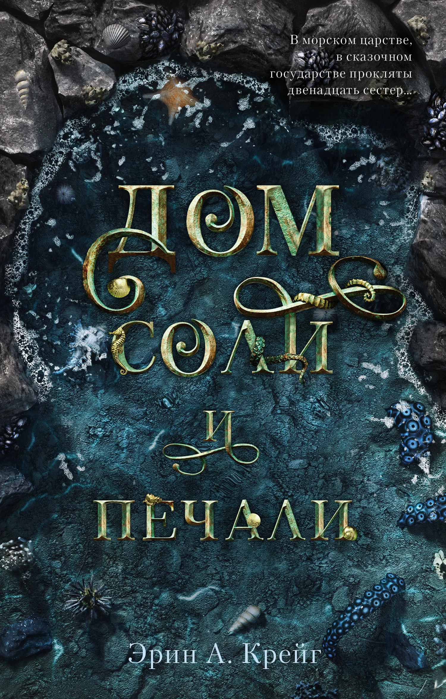 Обложка Дом соли и печали