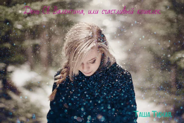 Обложка День Св. Валентина, или счастливый кошелек (СИ)