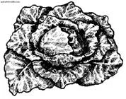 Обложка Сбор и хранение урожая