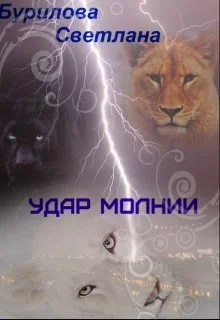 Обложка Удар молнии (СИ)