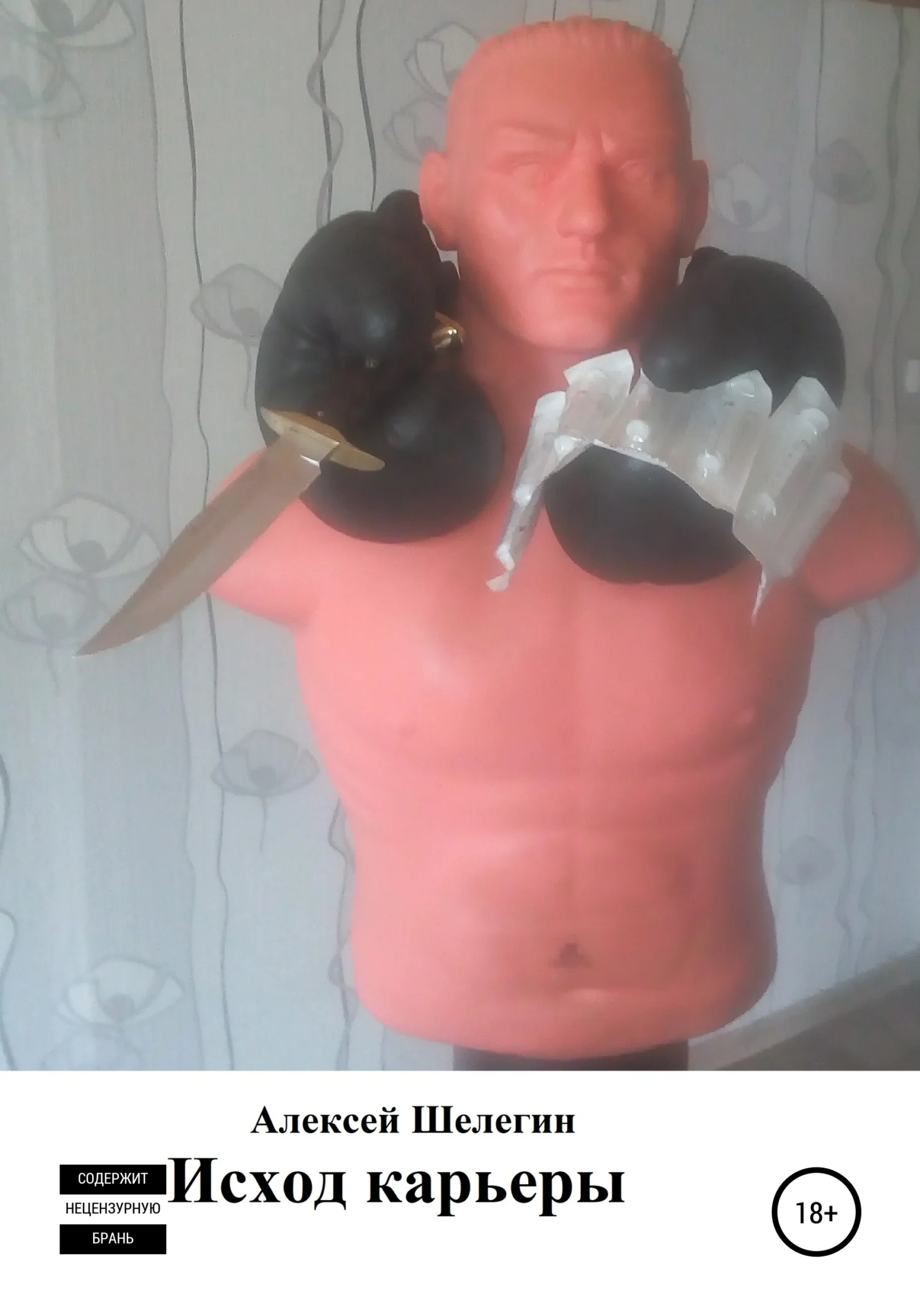 Обложка Исход карьеры