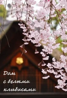 Обложка Дом с белыми клибисами