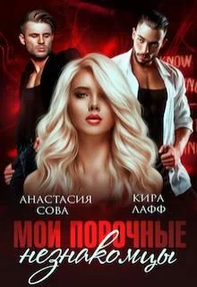 Обложка Мои порочные незнакомцы