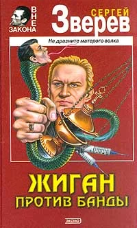 Обложка Жиган против банды