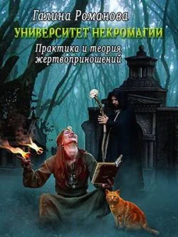 Обложка Практика и теория жертвоприношений