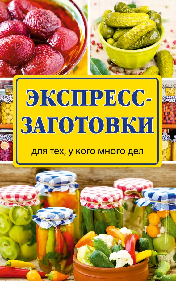 Обложка Экспресс-заготовки