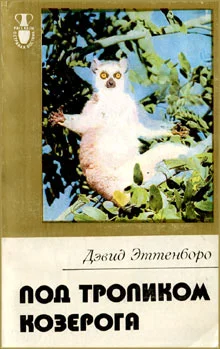 Обложка Под тропиком Козерога