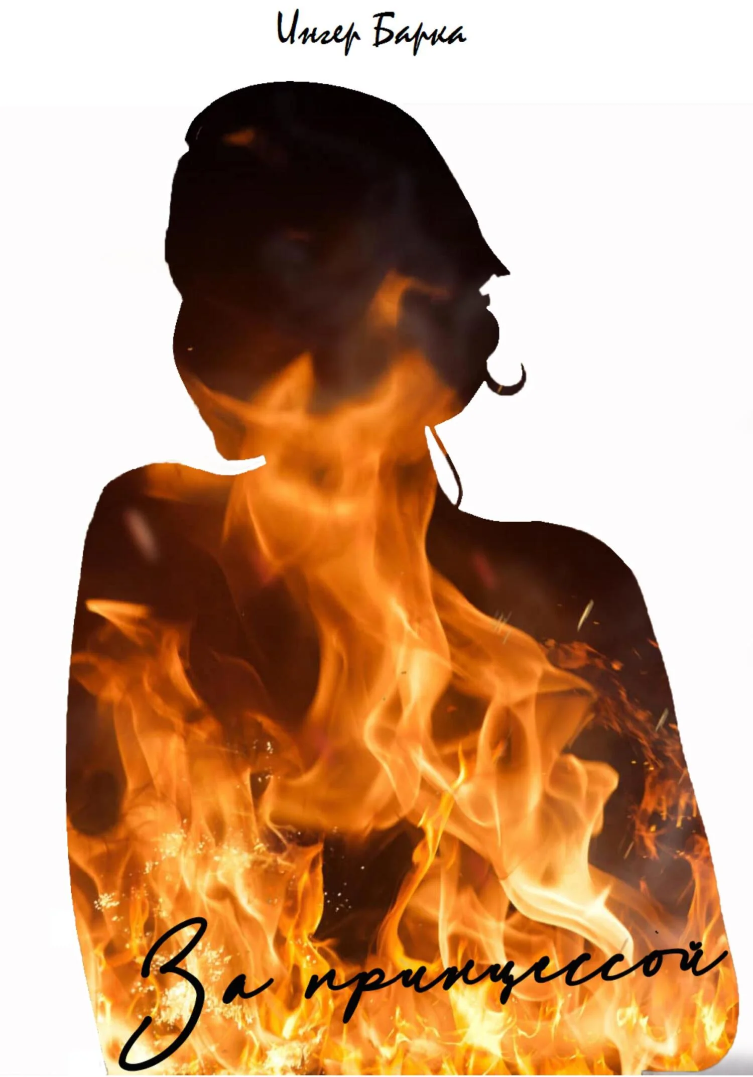 Обложка За принцессой