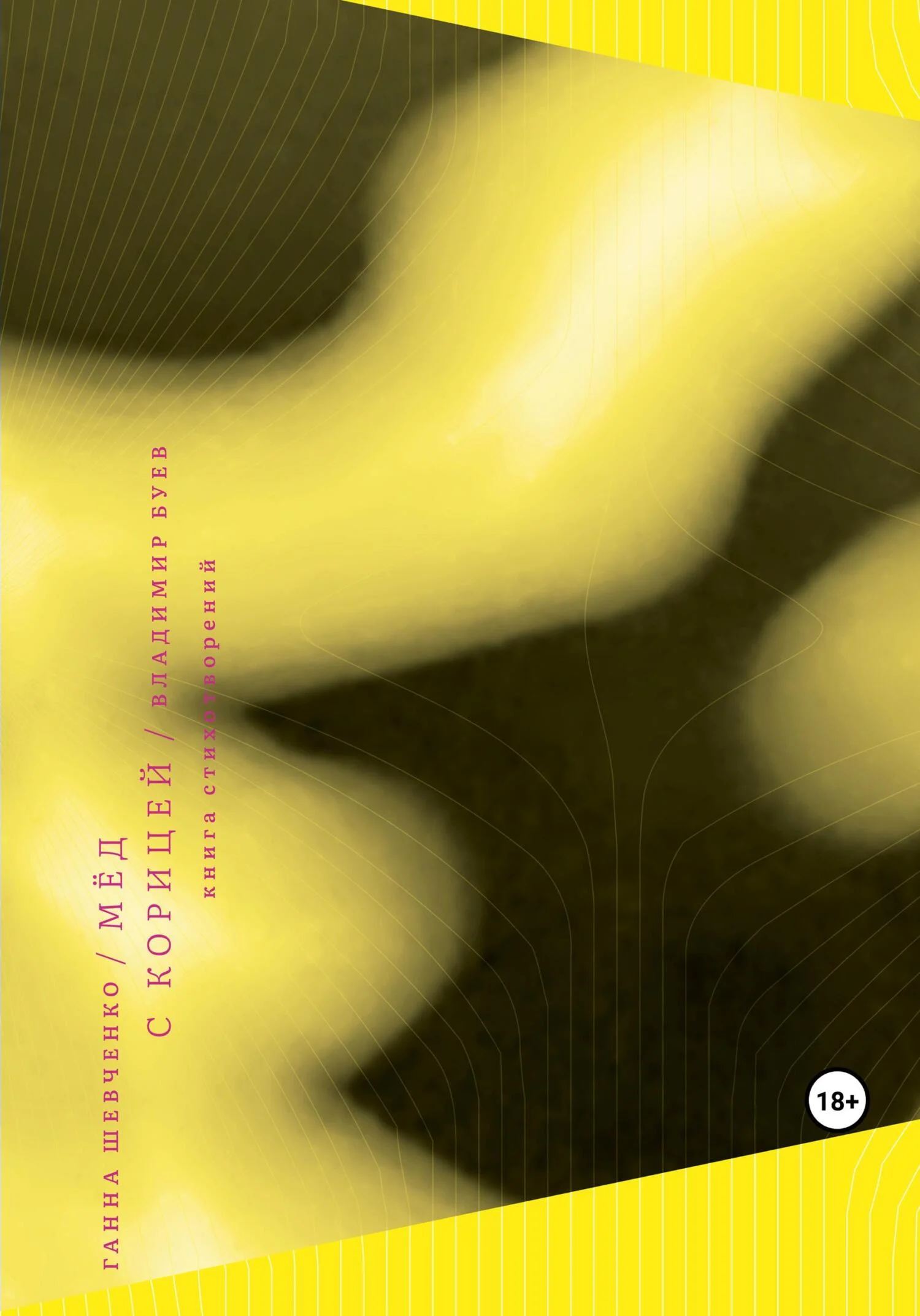 Обложка Мёд с корицей