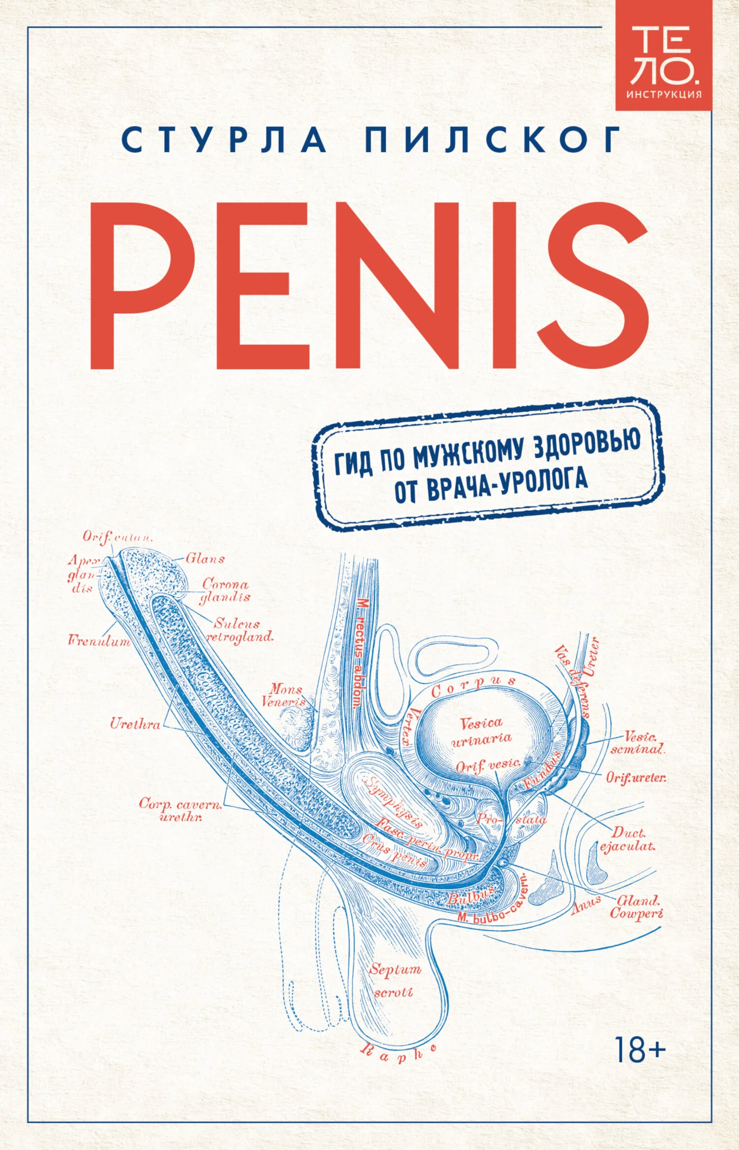 Обложка Penis. Гид по мужскому здоровью от врача-уролога