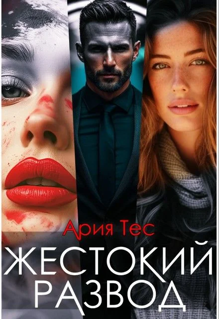 Обложка Жестокий развод