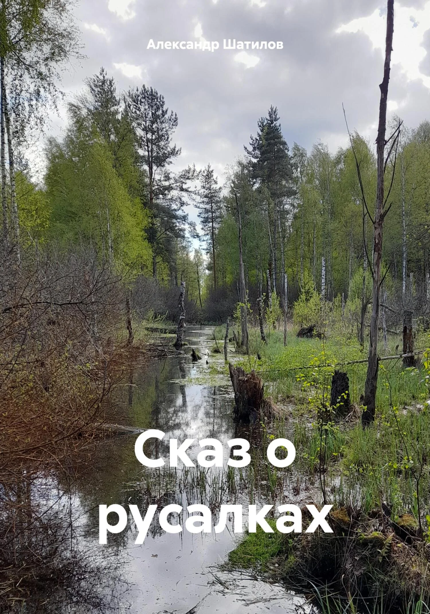 Обложка Сказ о русалках