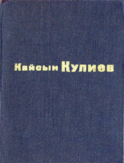 Обложка Раненый камень