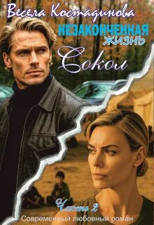 Обложка Сокол