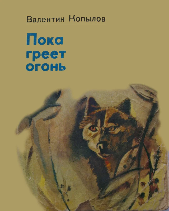 Обложка Пока греет огонь