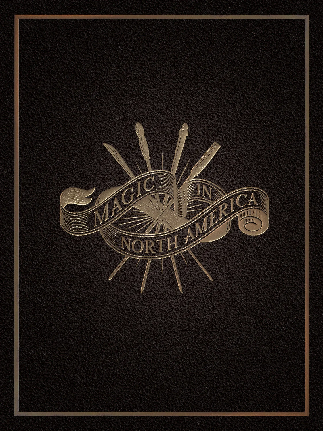 Обложка История магии в Северной Америке