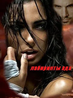 Обложка Лабиринты ада