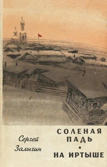 Обложка Соленая Падь. На Иртыше