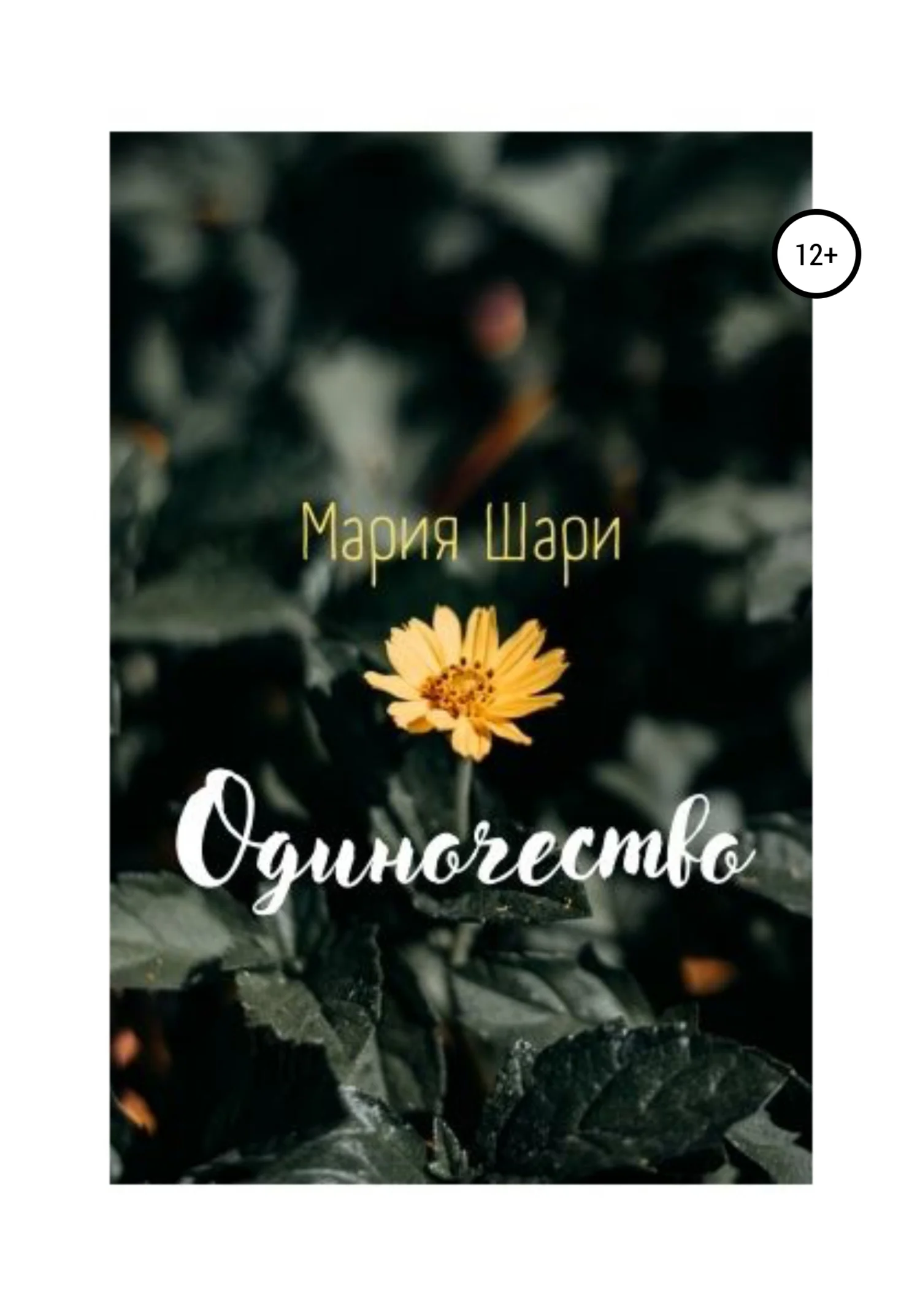 Обложка Одиночество