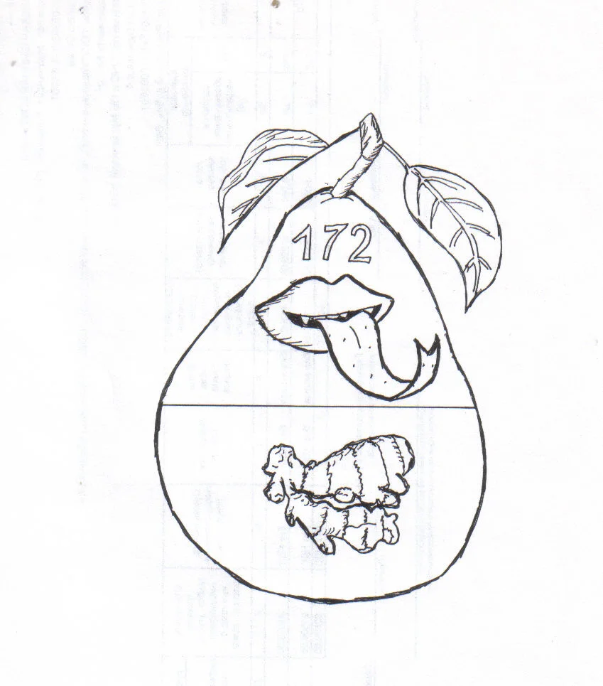 Обложка Звездное небо и нравственный закон