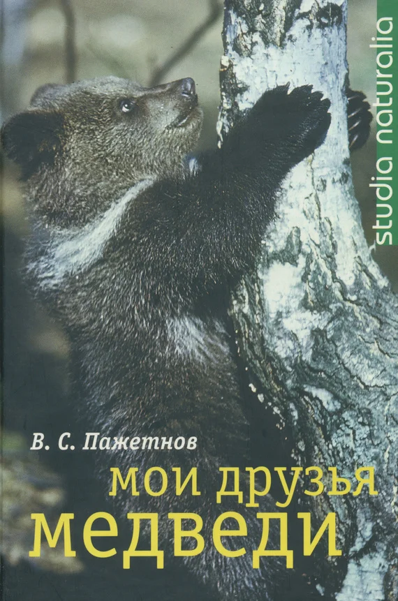 Обложка Мои друзья медведи