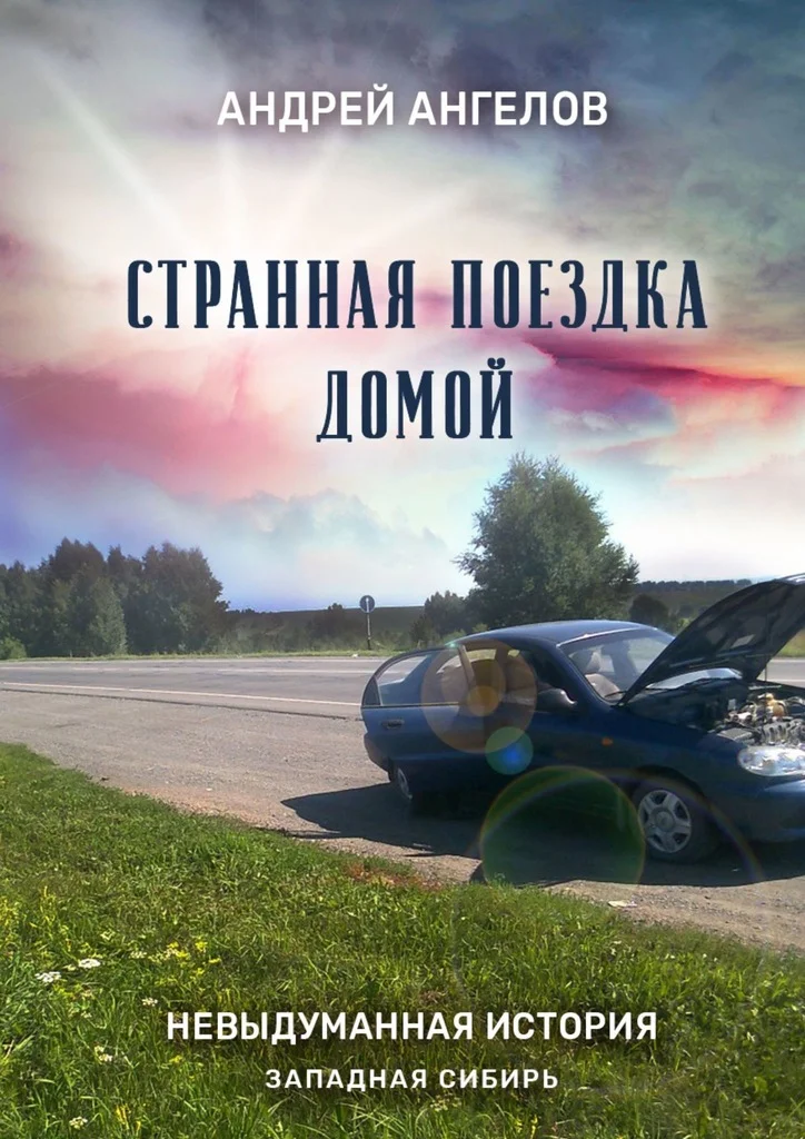 Обложка Странная поездка домой