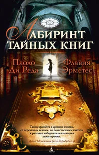 Обложка Лабиринт тайных книг