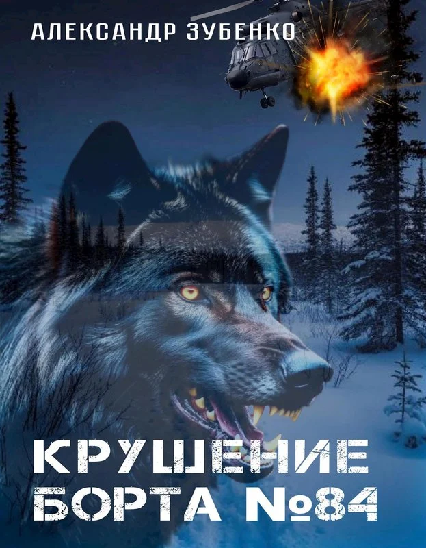 Обложка Крушение "Борта № 84"