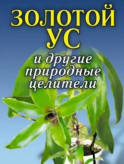 Обложка Золотой ус и другие природные целители