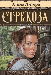 Обложка Стрекоза