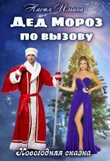 Обложка Дед Мороз по вызову