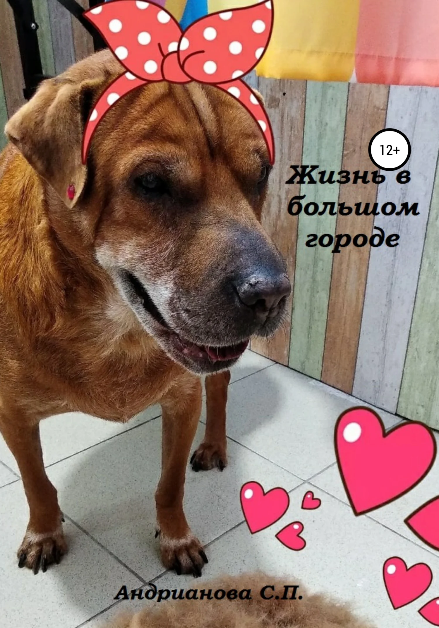 Обложка Жизнь в большом городе