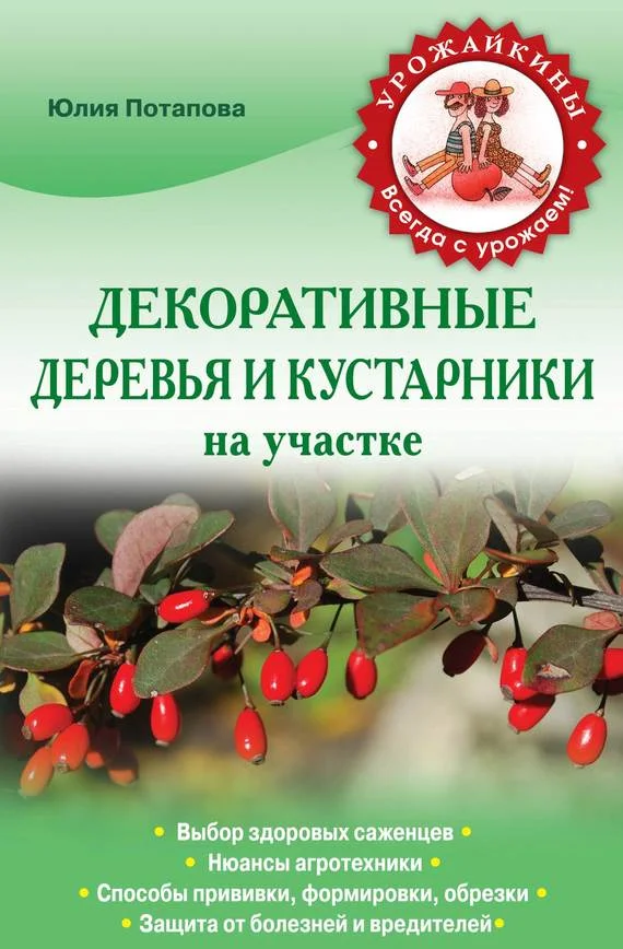 Обложка Декоративные деревья и кустарники на участке