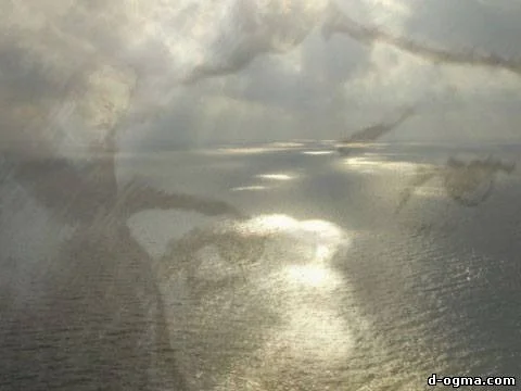 Обложка Морская пена